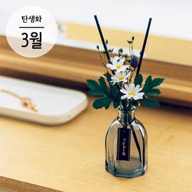 [It's My Flower] birth shoes daisy diffuser set of March, Air Freshener _ Made in KOREA